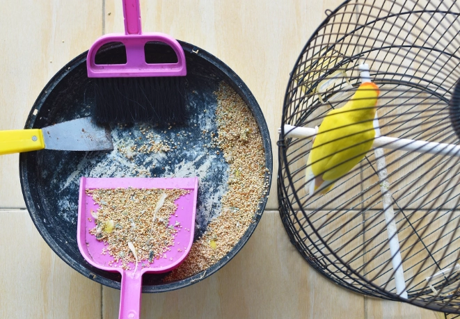 bird cage maintenance