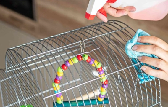 how to clean a bird cage fast