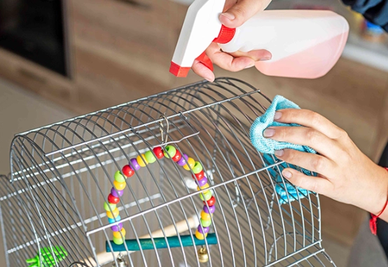 best bird cage cleaner