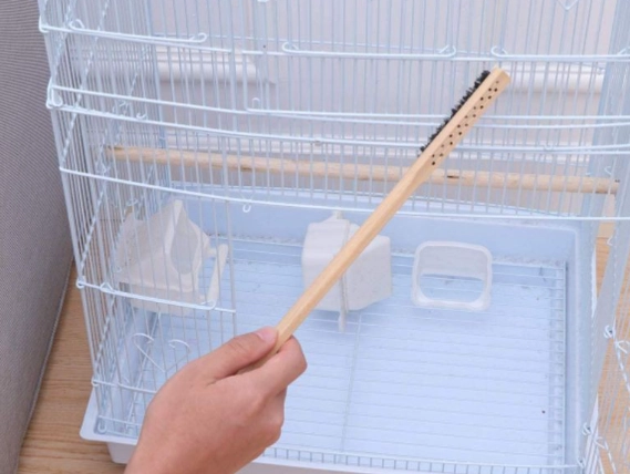 how to clean a bird cage