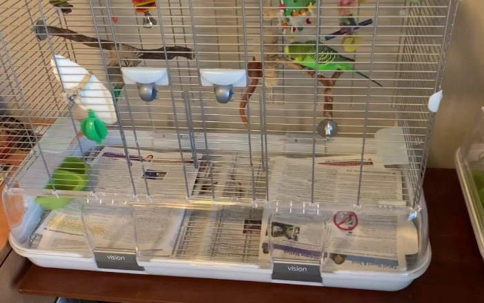 safe bird cage disinfectant