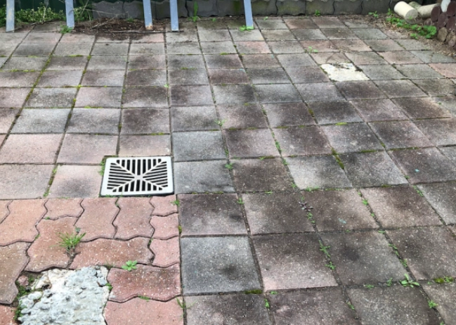 safe bird cage cleaning