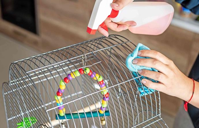 best bird cage cleaner