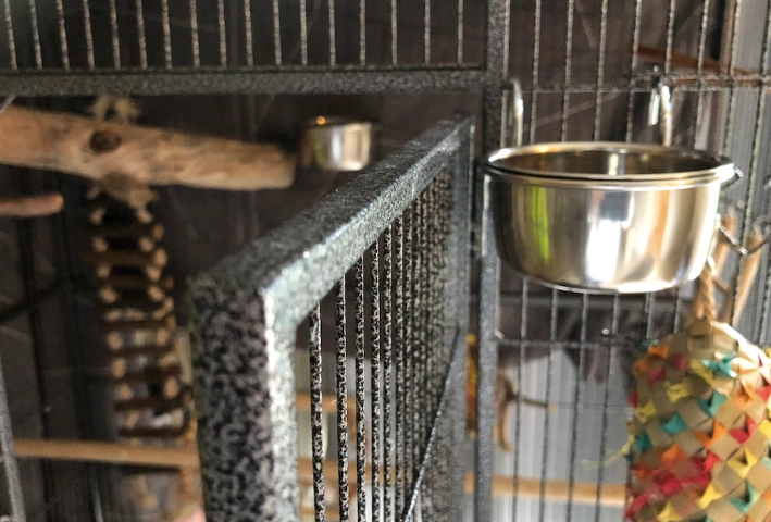 How to Clean a Bird Cage with Vinegar: A Safe Step-by-Step Guide