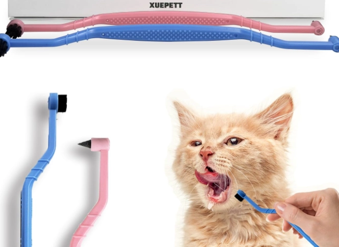 cat dental care