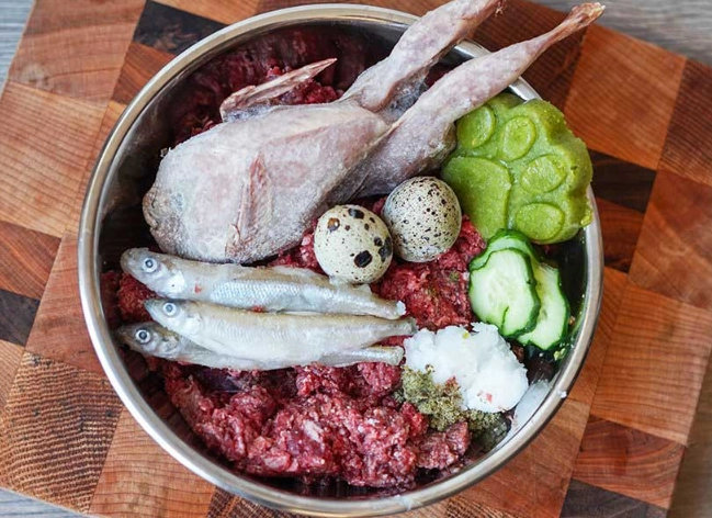 homemade dog food recipes