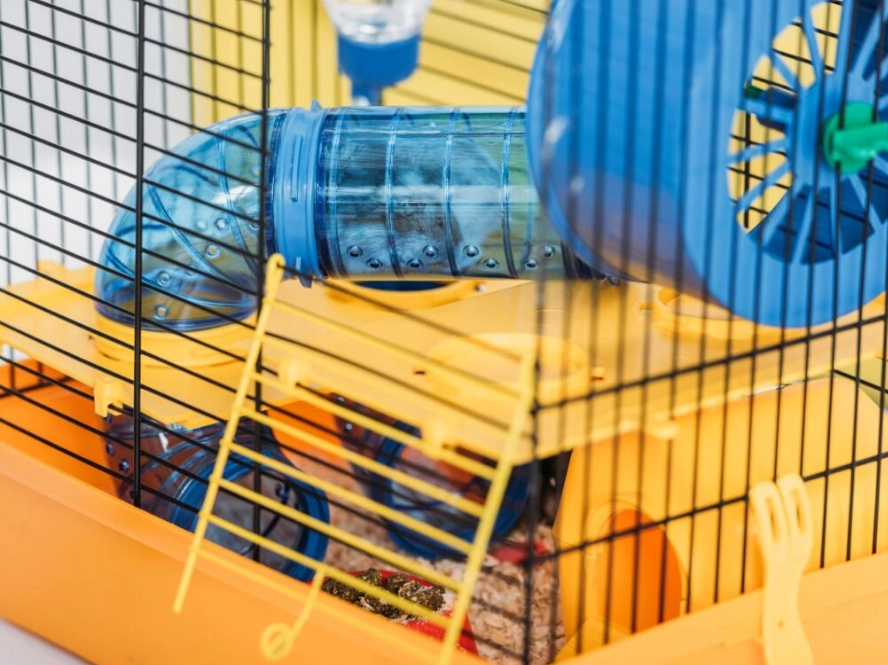 hamster cage mistakes