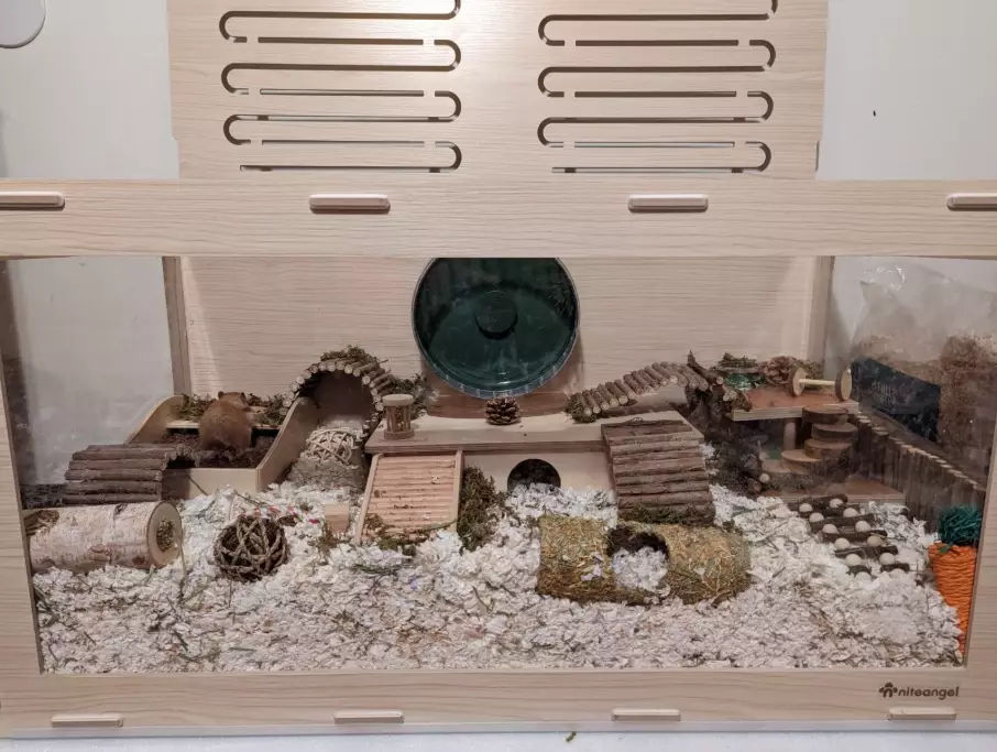 natural hamster cage