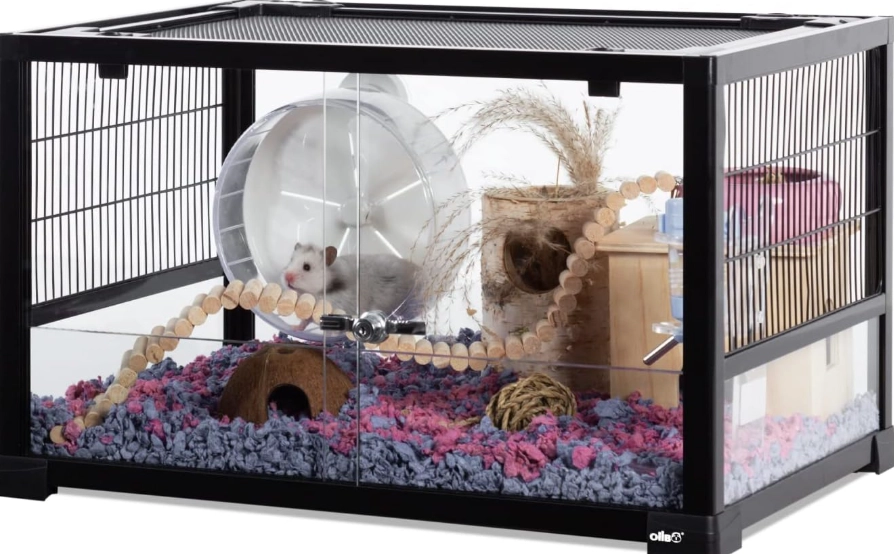 hamster cage setup