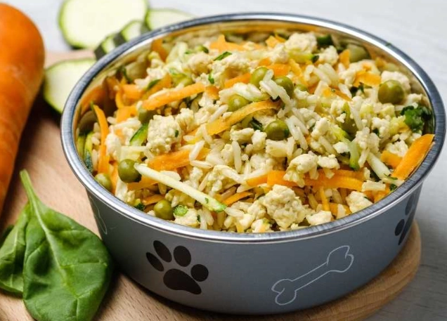 Ultimate Guide to the Best Homemade Diet for Your Dog