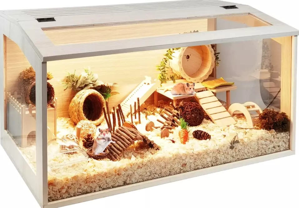 Large Hamster Cage Guide: Why Size Matters & How to Choose the Best One