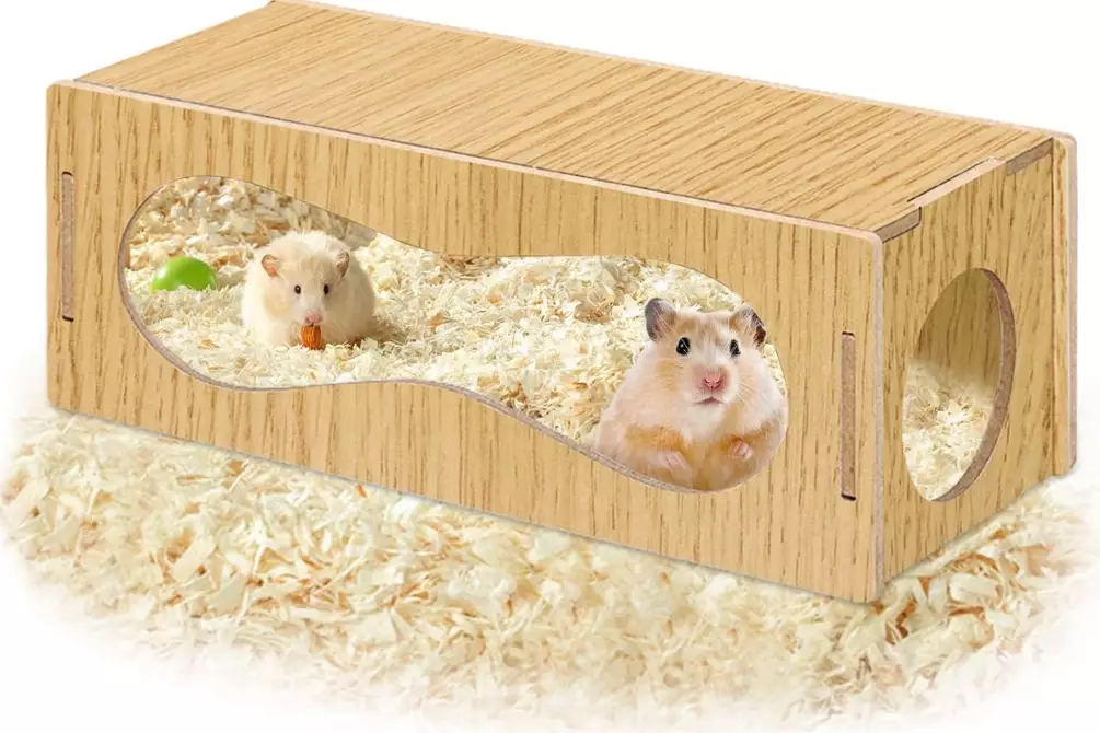 hamster cage accessories must have