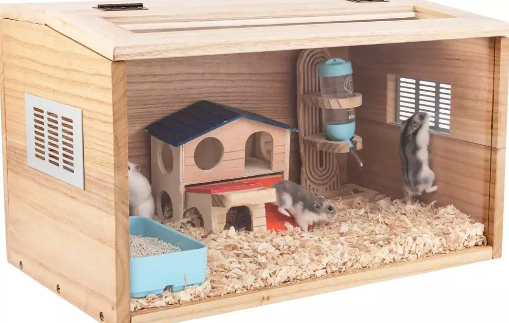 Ultimate Guide to Natural Hamster Cage Setup: A Stress-Free Habitat