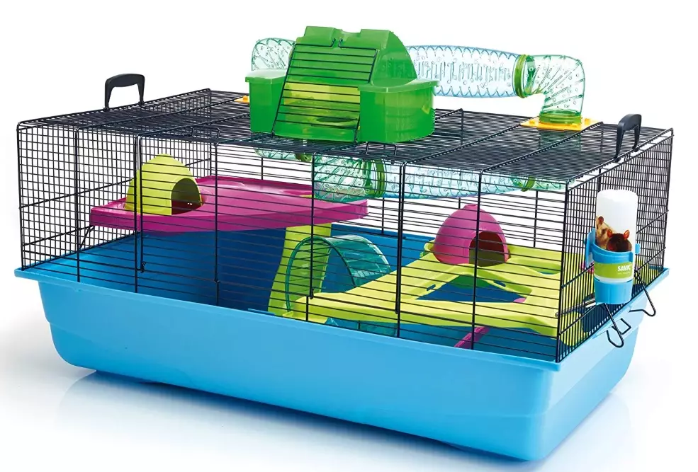 hamster habitat needs