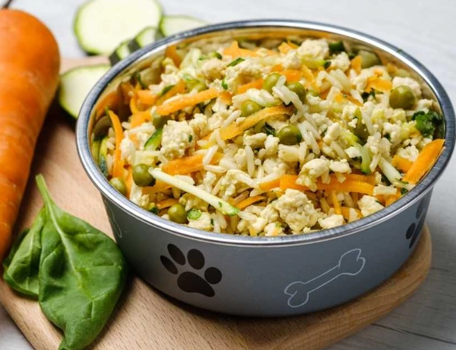 Healthy Homemade Dog Food: A Simple Guide to a Balanced Diet