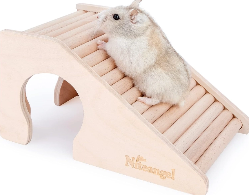hamster enrichment toys