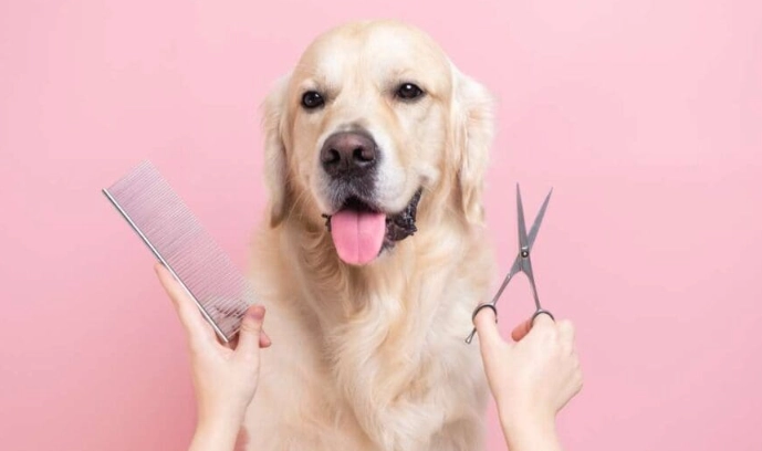 dog bathing mistakes