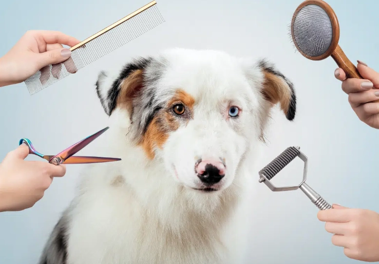 dog bathing mistakes