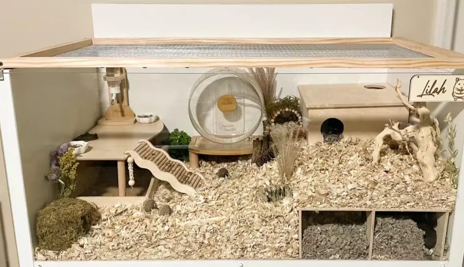 hamster bin cage