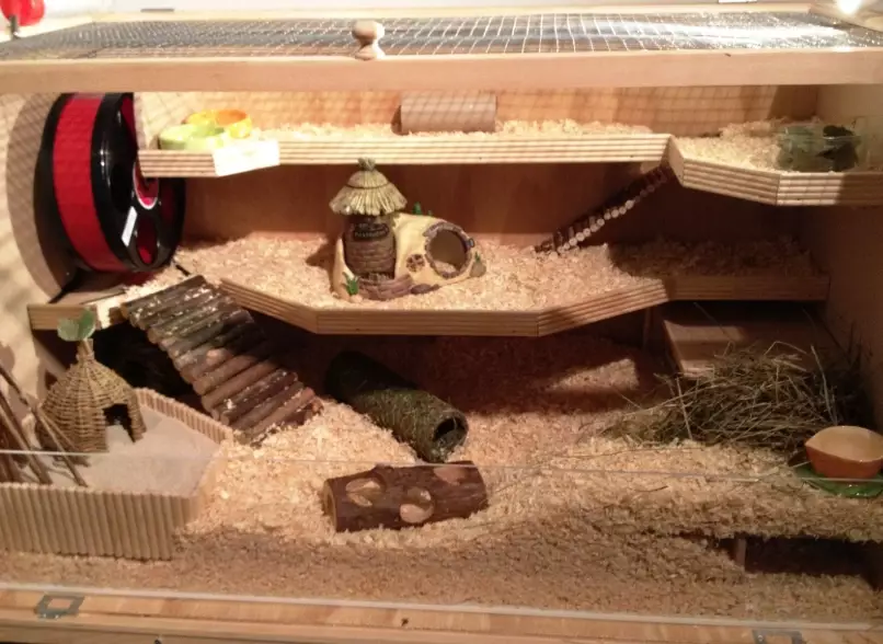 DIY Hamster Cage Ideas: Build a Safe & Fun Home