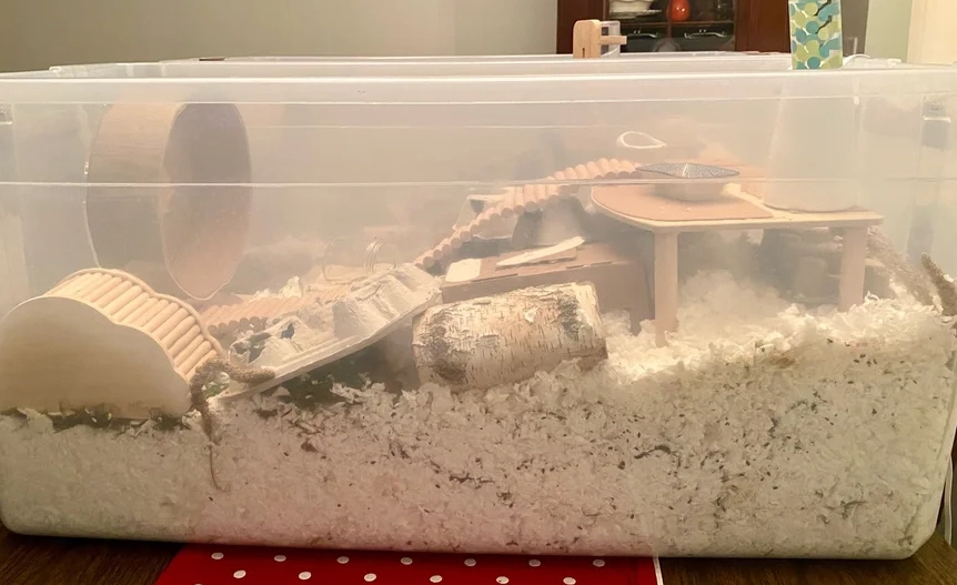 hamster bin cage