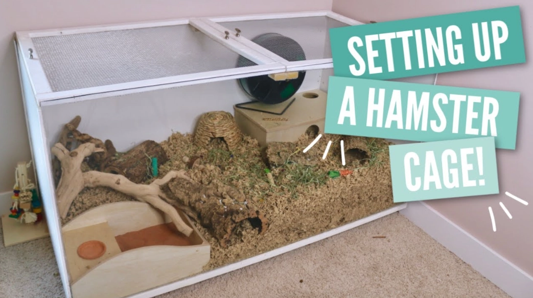 Small Mammal Habitat Setup: A Complete Guide for Happy Pets