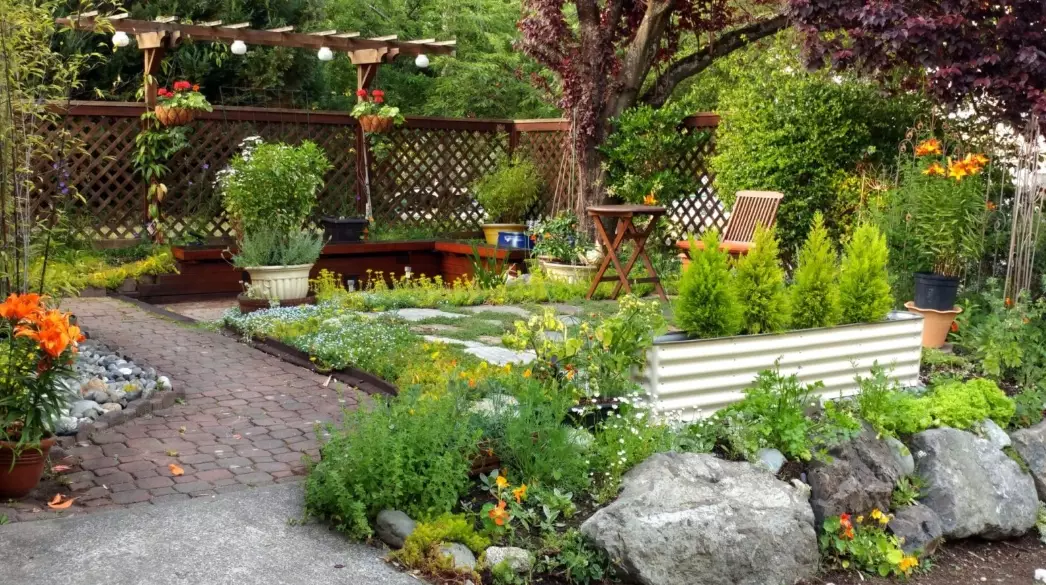 Transform Your Backyard into a Certified Wildlife Habitat