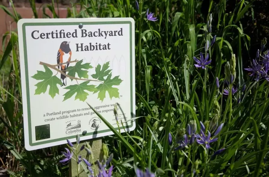 backyard habitat certification
