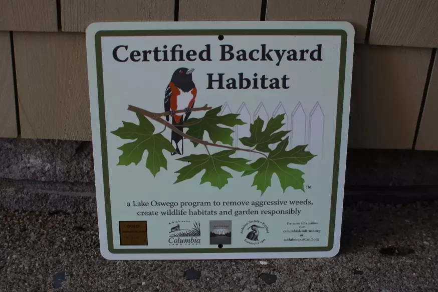 Backyard Habitat Certification: A Practical Guide to Wildlife-Friendly Yards