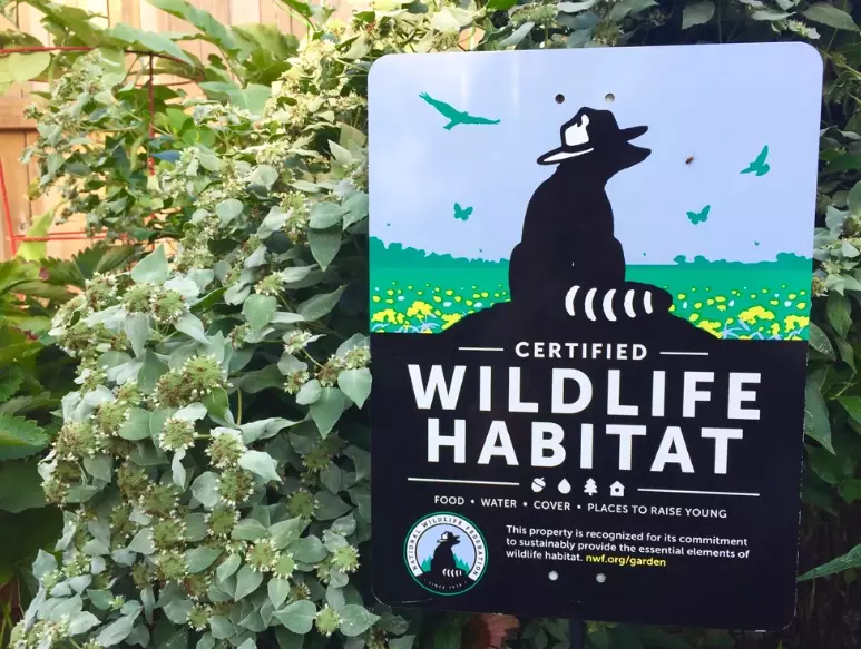 Certified Wildlife Habitat Sign: Your Complete Guide to Benefits & How to Get One