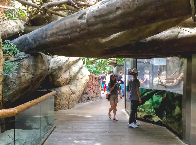 small mammal cage setup