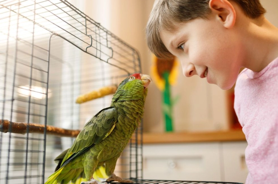 parrot ownership costs