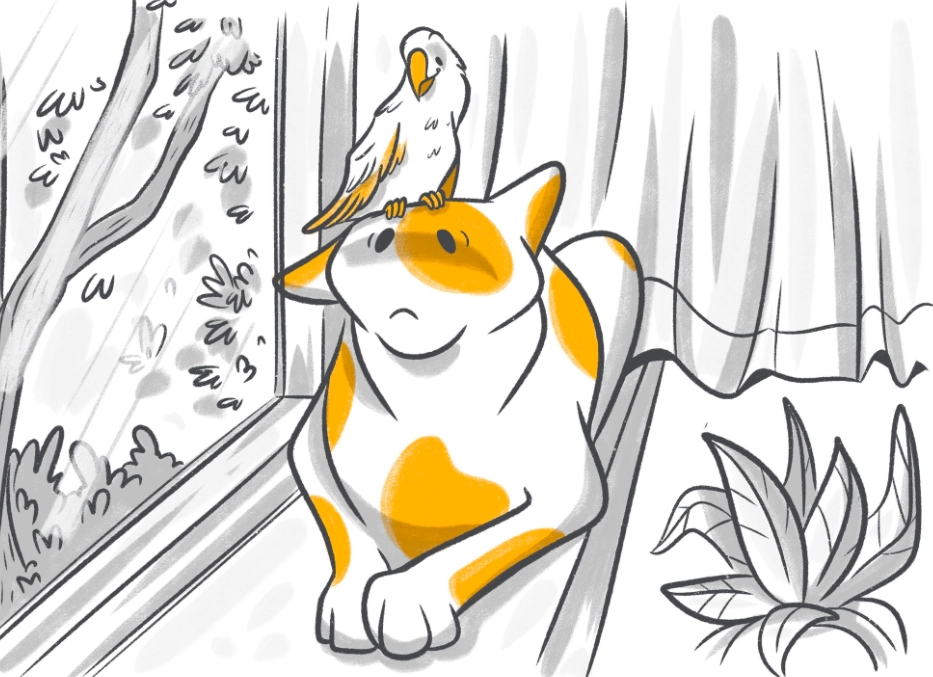 how to take care of a parrot