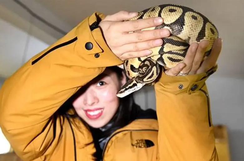 how often to feed ball python