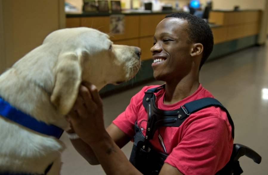 animal assisted therapy salary