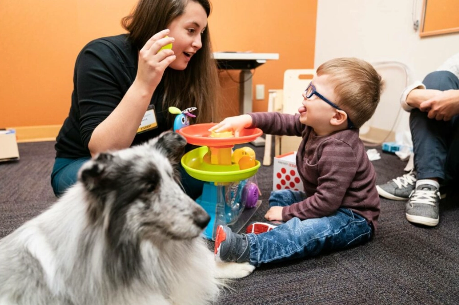 animal therapist salary