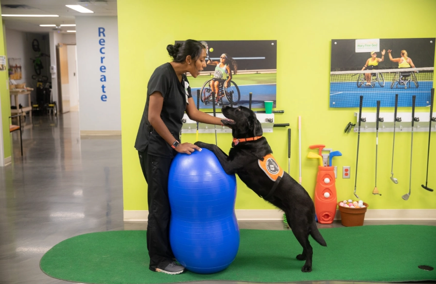 animal therapist salary