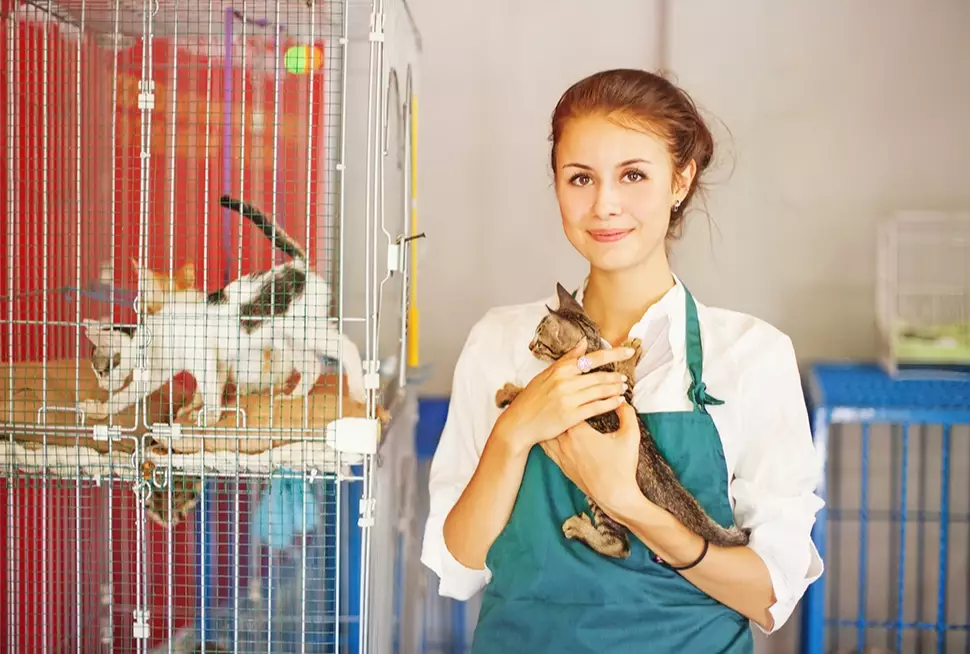 entry level animal care jobs