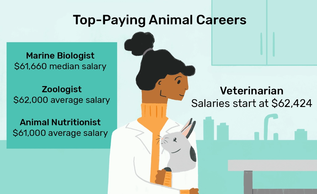 Animal careers list