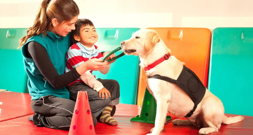 equine assisted therapy salary