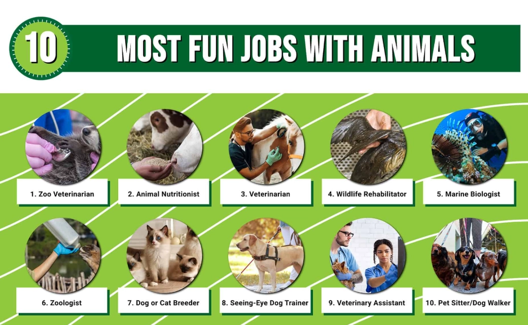 jobs working with animals