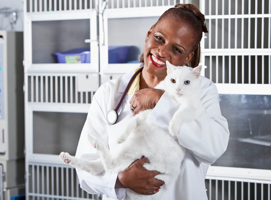 small animal care careers no experience