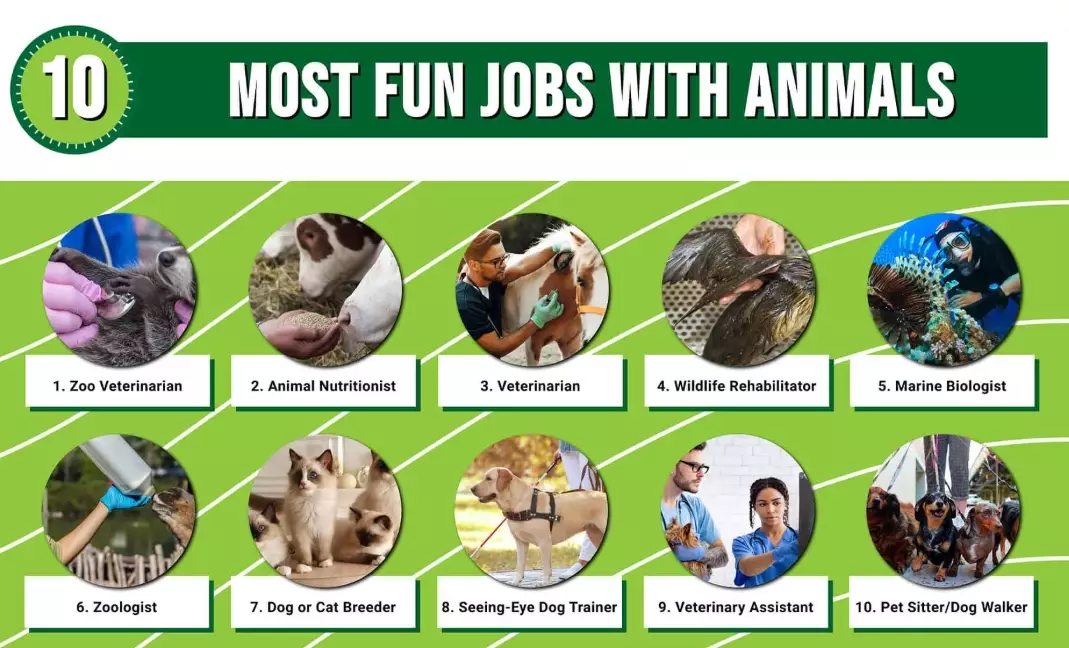 jobs working with animals