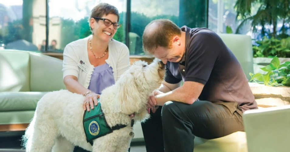 Animal Assisted Therapist salary