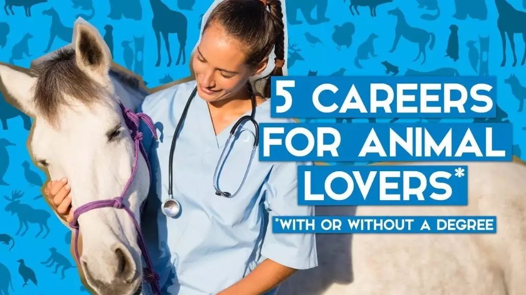 entry level animal jobs