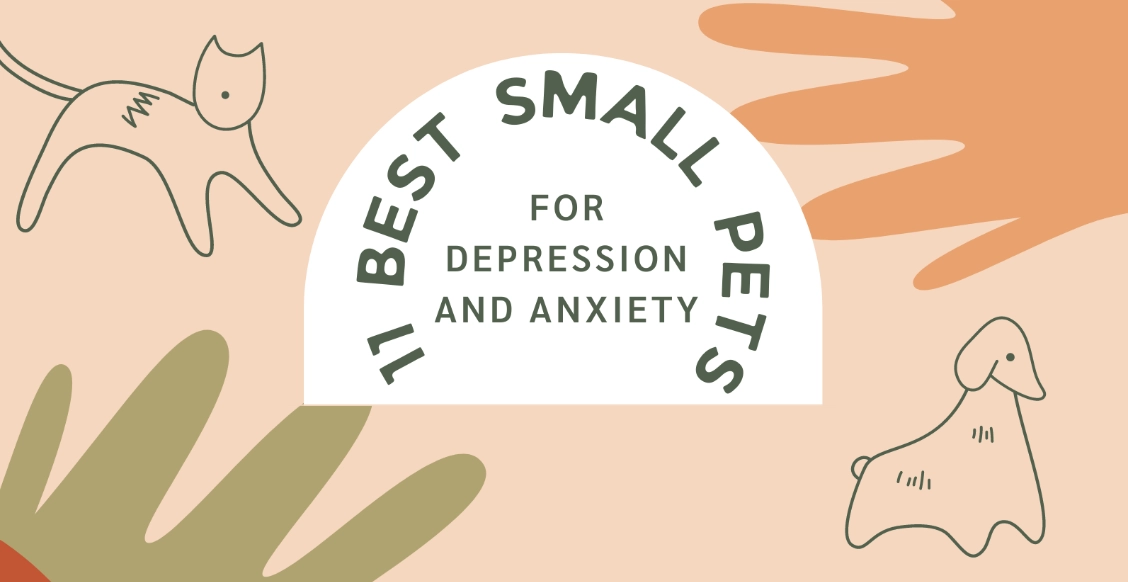 best small pets for anxiety best small pets for anxiety