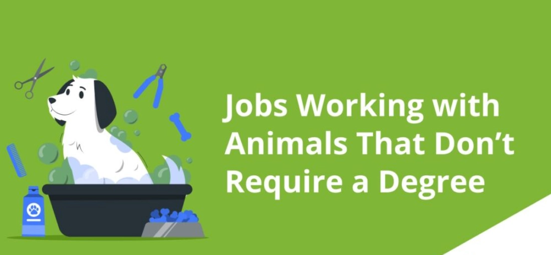 Animal Jobs Without a Degree: 10 Paths to Start Now