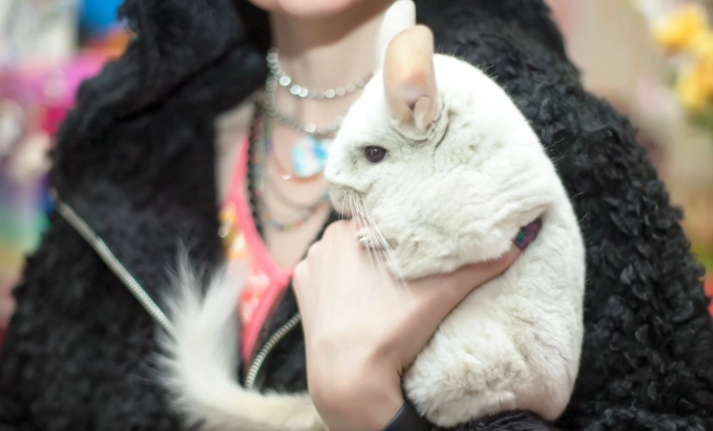 small pets for depression