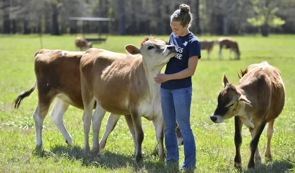 entry level animal jobs