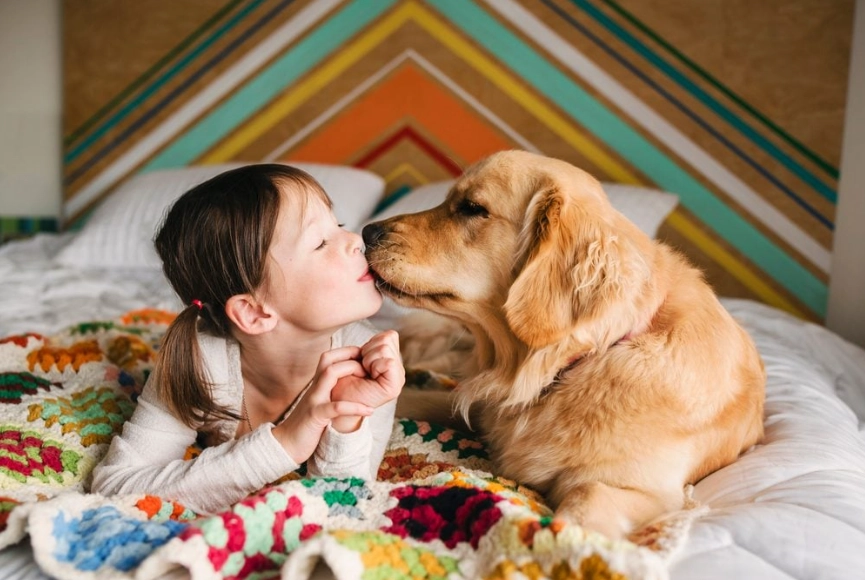 cuddly small animals